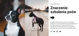 Ważne Szkolenie Psów – Szablon Premium