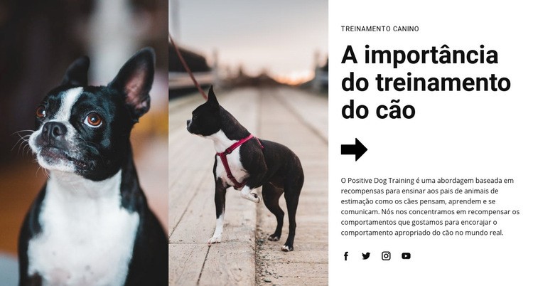 Treinamento de cães importante Design do site