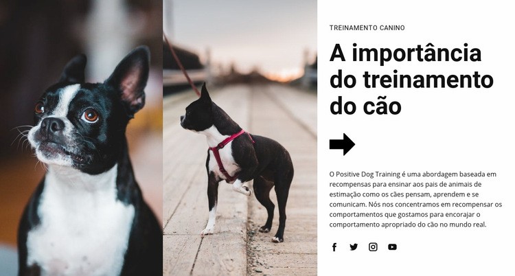 Treinamento de cães importante Modelo HTML5