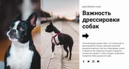 Адаптивный HTML Для Важная Дрессировка Собак