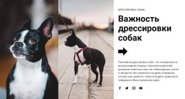 Важная Дрессировка Собак — Идеальная Тема WordPress