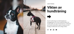 Responsiv HTML För Viktig Hundträning