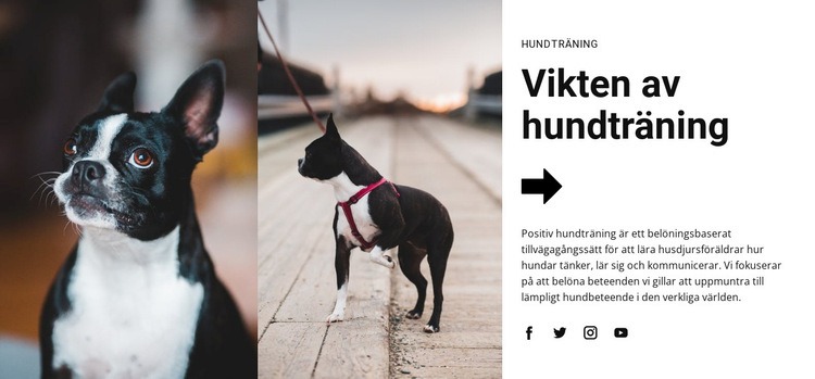 Viktig hundträning Webbplats mall