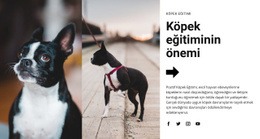 Önemli Köpek Eğitimi - Premium Şablon