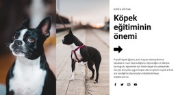 Önemli Köpek Eğitimi - Tek Sayfalı Şablonu Kullanmaya Hazır