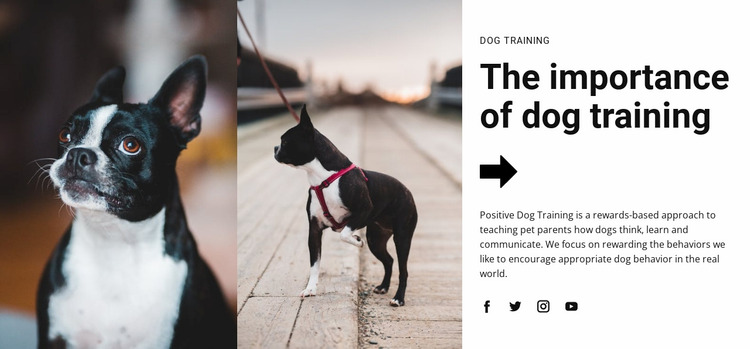 Important dog training Website Mockup