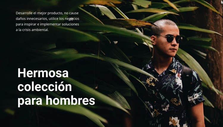 Colección de hombres hermosos Plantilla CSS