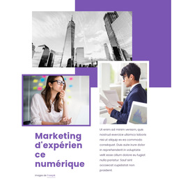 Marketing D'Expérience Numérique