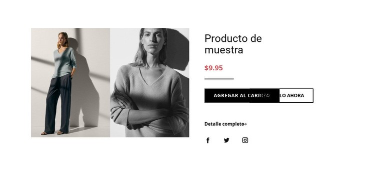 Detalles del producto de moda Maqueta de sitio web