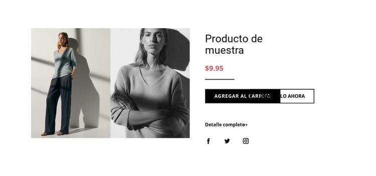 Detalles del producto de moda Plantilla