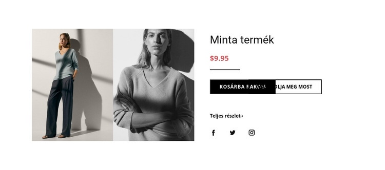 Divattermék részletek WordPress Téma