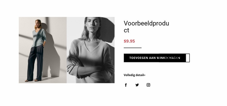 Mode productdetails Website ontwerp