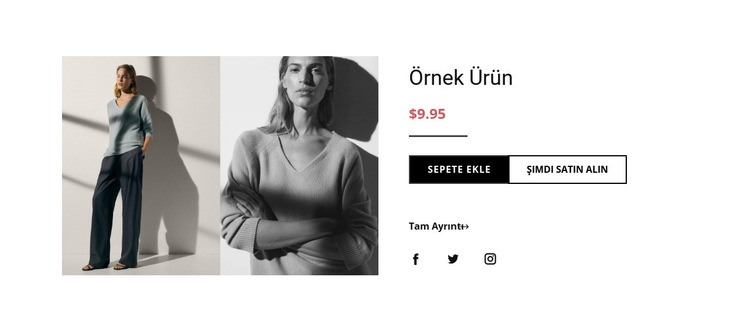 Moda ürün detayları Web Sitesi Oluşturucu Şablonları