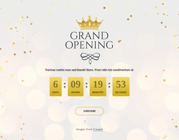 Grand Opening Сountdown Timer One Page Template