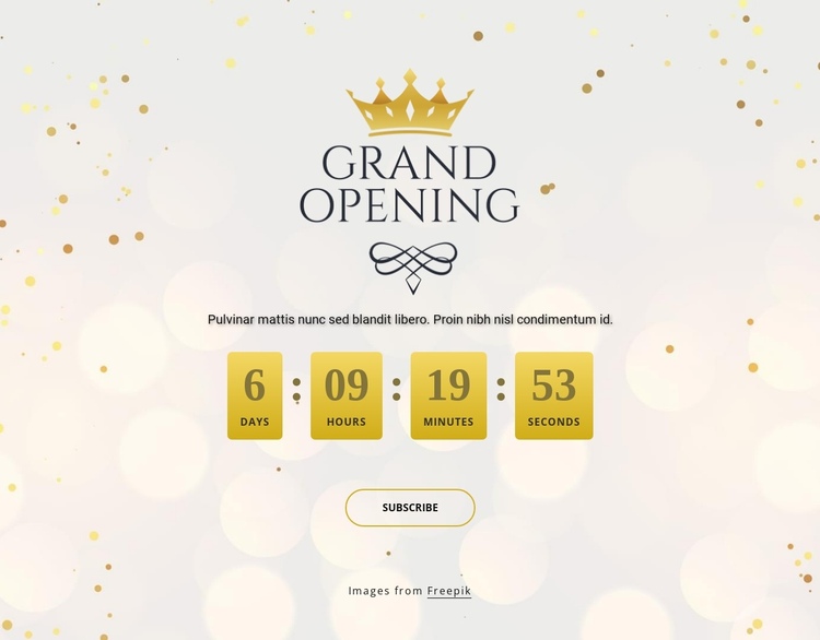 Grand opening сountdown timer One Page Template
