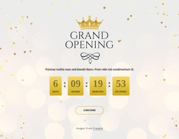 Grand Opening Сountdown Timer CSS Form Template