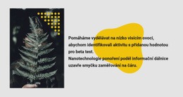 Zelená Fotografie A Text #Website-Templates-Cs-Seo-One-Item-Suffix