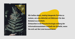 Grünes Foto Und Text #Html5-Template-De-Seo-One-Item-Suffix