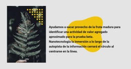 Foto Y Texto Verde - Plantillas De Diseño De Sitios Web