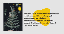 Foto Y Texto Verde - Tema Responsivo De WordPress