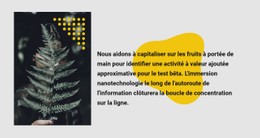 Texte Et Photo Verts Modèle CSS De Base