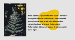 Texte Et Photo Verts : Modèle De Site Web D'Une Seule Page