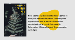 Texte Et Photo Verts - Thème WordPress Réactif