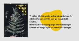 Grönt Foto Och Text - Mallar Webbplatsdesign