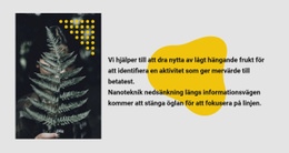 Grönt Foto Och Text - Mallar Webbplatsdesign