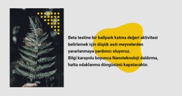 Yeşil Fotoğraf Ve Metin - Tek Sayfalık Web Sitesi Şablonu