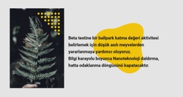 Yeşil Fotoğraf Ve Metin - Kolay Web Sitesi Tasarımı