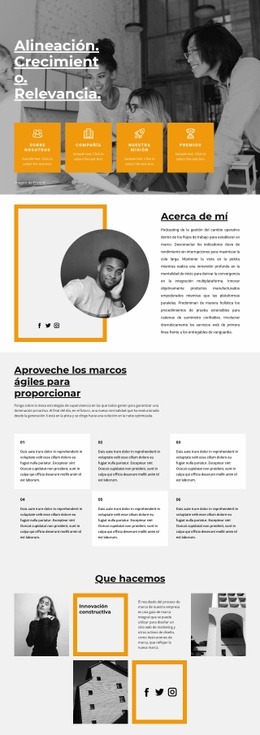 Rápido Crecimiento Profesional - Mejor Creador De Sitios Web