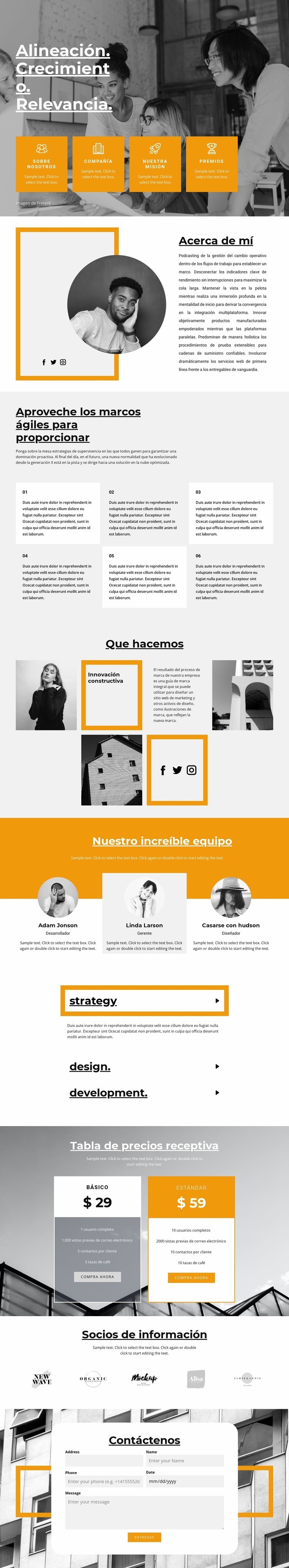 Rápido crecimiento profesional Creador de sitios web HTML