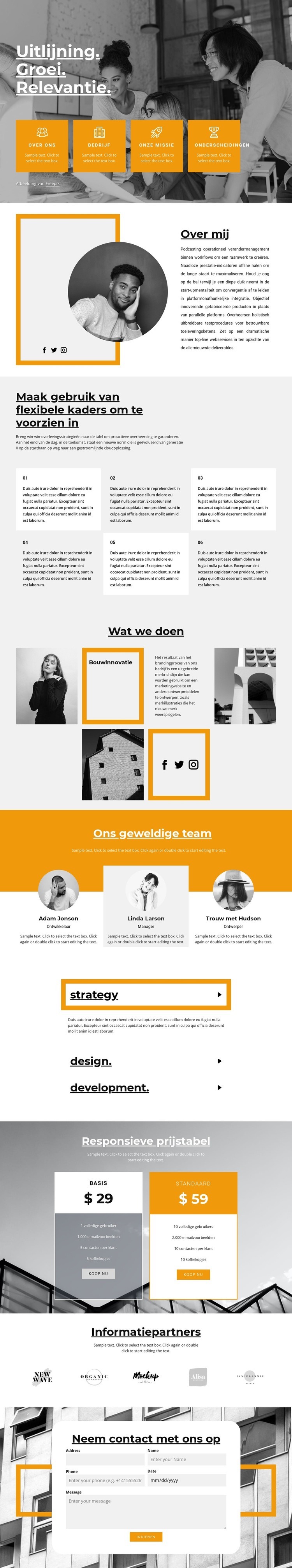 Snelle carrièregroei Website mockup