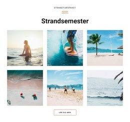 Strandsemester - Anpassningsbart Professionellt WordPress-Tema