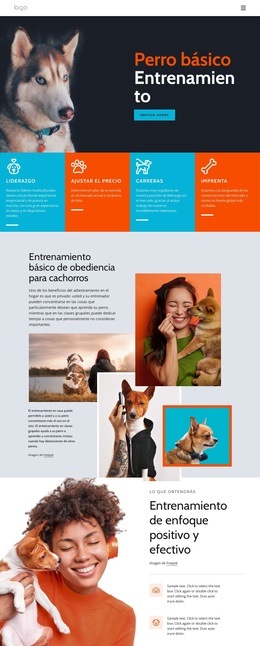 Sitio De WordPress Para Cursos De Adiestramiento Canino