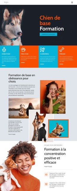 Cours De Dressage De Chiens Modèles Bootstrap