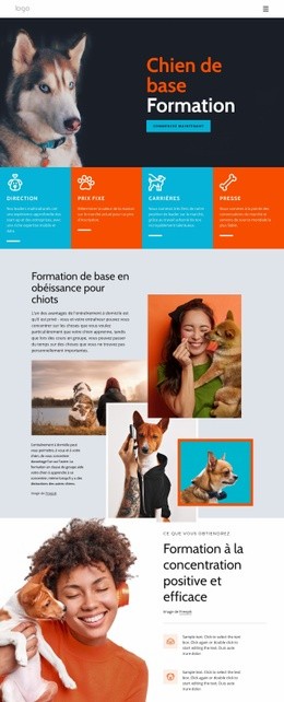 Cours De Dressage De Chiens - Modèle HTML5 Réactif