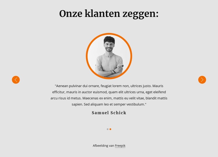 Bekijk onze getuigenissen van klanten Website sjabloon