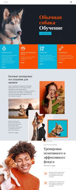 Курсы Дрессировки Собак – Шаблон HTML-Страницы