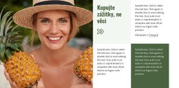 Cestovní Průvodce A Hotely Základní Šablona CSS