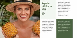 Cestovní Průvodce A Hotely – Vstupní Stránka