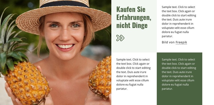 Reiseführer und Hotels Website design