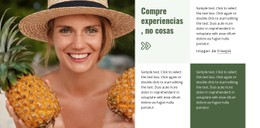 Guía De Viajes Y Hoteles Plantilla CSS Básica