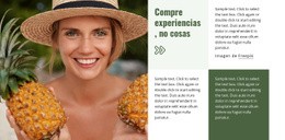 Guía De Viajes Y Hoteles: Plantilla HTML5 En Blanco