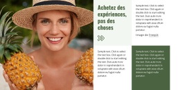 Modèle En Ligne Gratuit Pour Guide De Voyage Et Hôtels