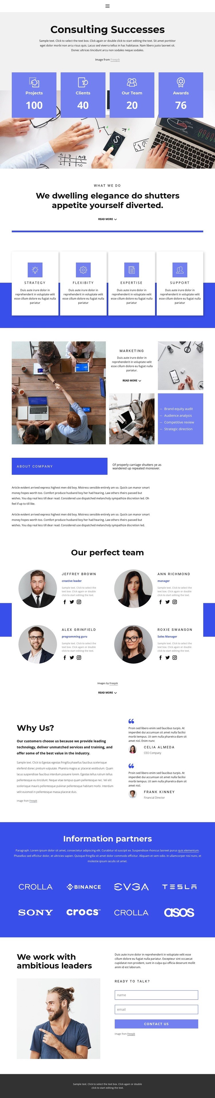 Consulting and assistance Homepage Design