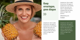 Gratis Online Sjabloon Voor Reisgids En Hotels
