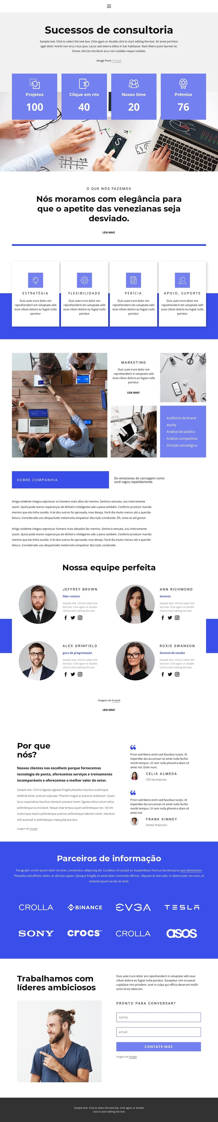 Consultoria e assessoria Modelo de site