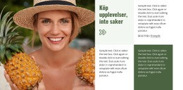 Gratis Onlinemall För Reseguide Och Hotell